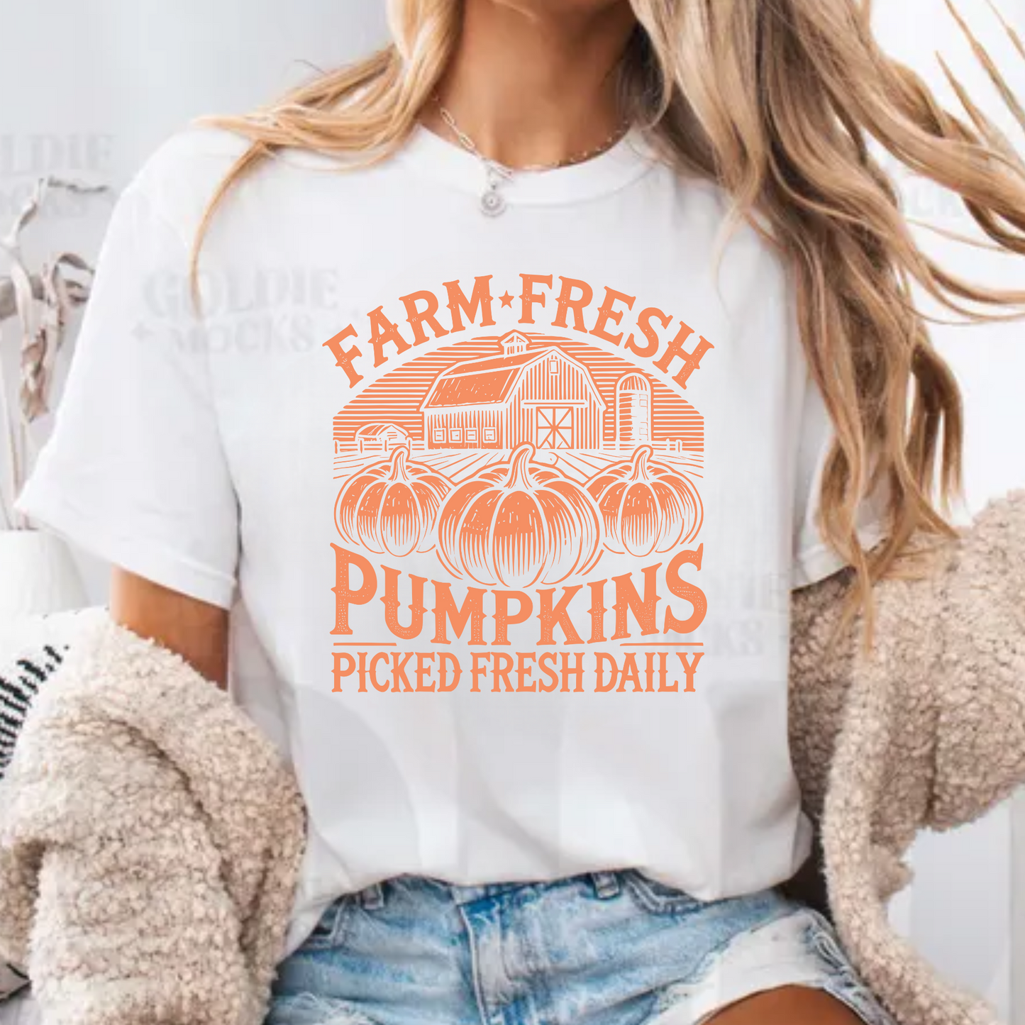 Fresh Pumpkins Daily