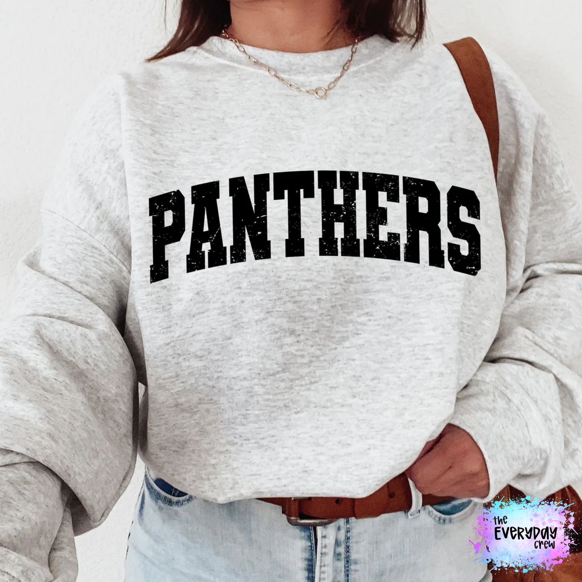 Panthers University